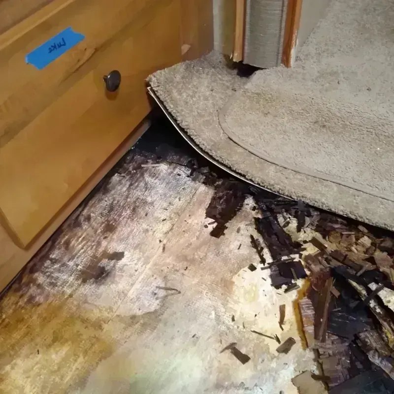 Wood Floor Water Damage in Cumberland County, IL